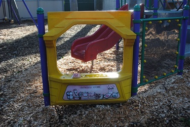 Albert Street Reserve