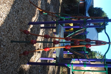 Albert Street Reserve