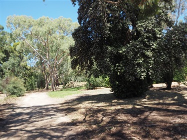 Bell Yett Reserve