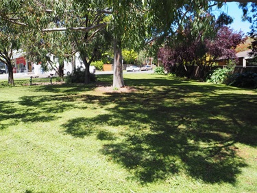 Caloroga Street Reserve