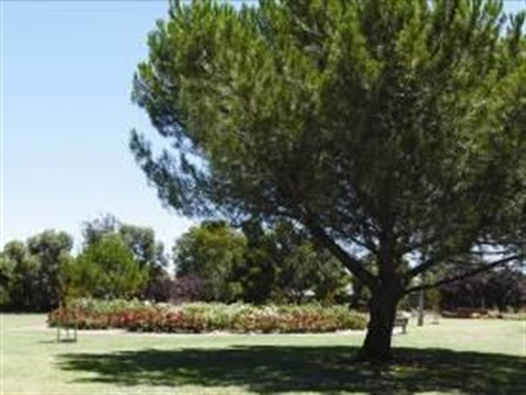 austral park wedding_permit_application_1_07_13.jpg