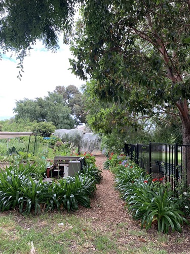 Chapel Street Community Garden Inc.