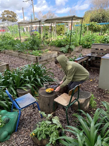 Chapel Street Community Garden Inc.