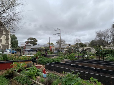 Chapel Street Community Garden Inc.