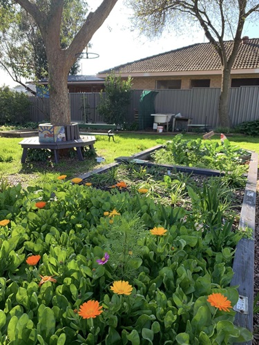 Chapel Street Community Garden Inc.