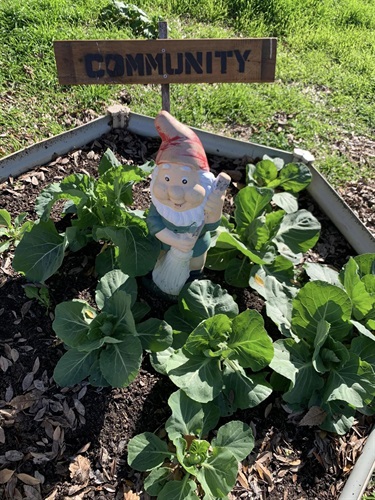 Chapel Street Community Garden Inc.