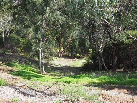 Ifould Reserve