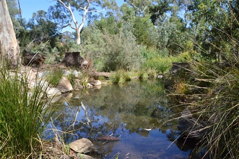 Michael Perry 5 Feb 2015 (37).JPG