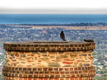 Mine Chimney Reserve