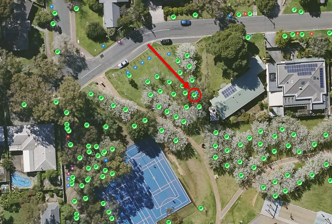 Penfold Park Tree Vandalism Location.jpg