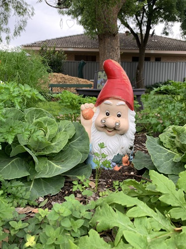 Chapel Street Community Garden Inc.