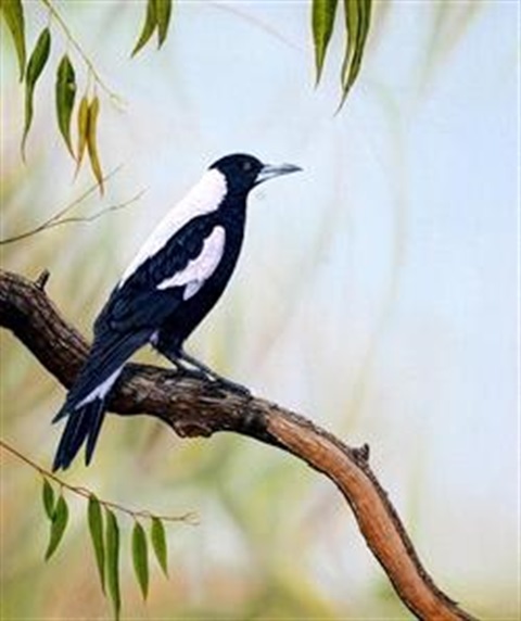 Birds of a Feather.jpg